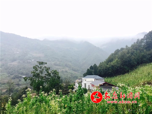 煙雨西溝