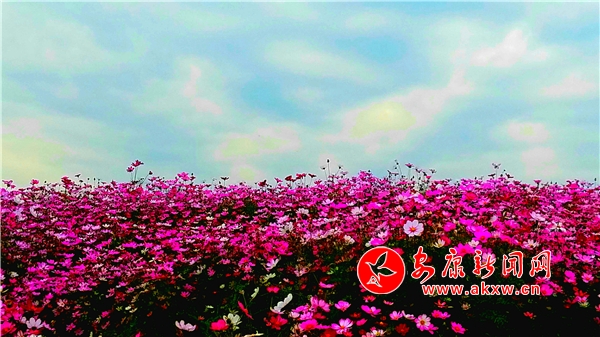 云夢小鎮