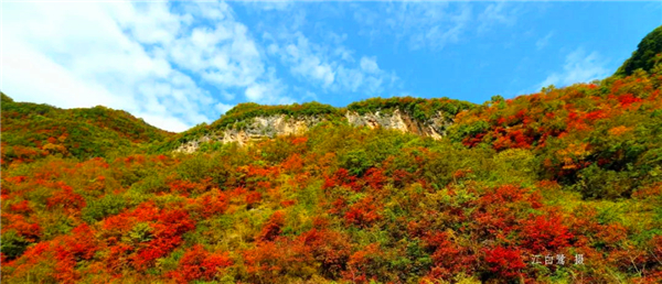 茨溝楓葉正紅時