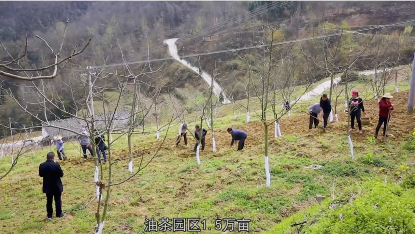 漢濱：園區帶動助增收
