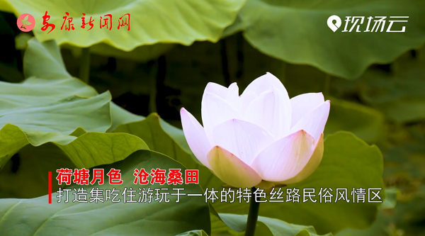 視新聞｜踐行“兩山”理論  做強縣域旅游