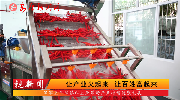 視新聞｜讓產(chǎn)業(yè)火起來，讓百姓富起來