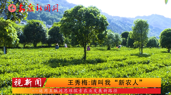 視新聞｜王秀梅：請叫我“新農(nóng)人”