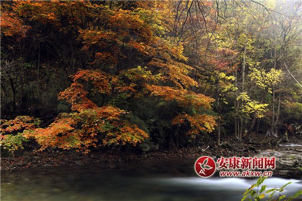 寧陜秋色.jpg